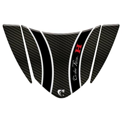 Adesivo Protetor De Rabeta Honda Cg Titan 125 (2008 A 2010) Carbon Race Carbono