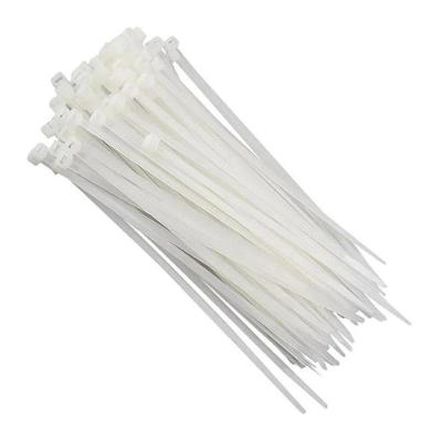 Abraçadeira De Nylon Western 3,6 X 15cm 100 Un Branco