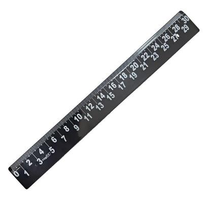 Régua Plástica 30cm Baixa Visão Maxcril Preto