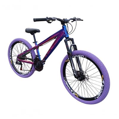 Bicicleta Aro 26 Gta Rebel Freeride Downhill 21v Rodas Vmaxx Dh Freio A Disco Pneu Flame Camaleão