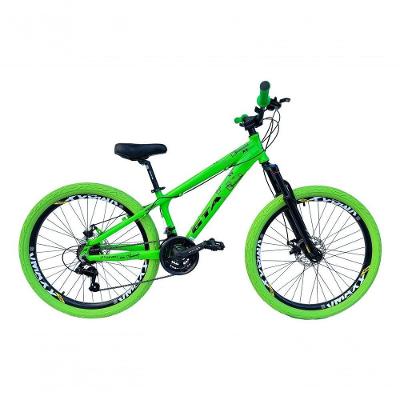 Bicicleta Aro 26 Gta Rebel Freeride Downhill 21v Rodas Vmaxx Dh Freio A Disco Pneu Flame Verde