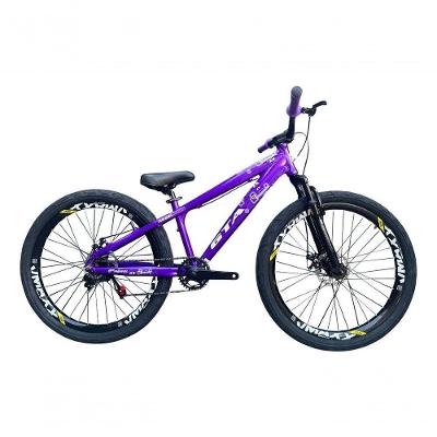 Bicicleta Aro 26 Gta Rebel Freeride Downhill Single Aros Vmaxx Freio A Disco Pneu Flame Preto Roxo