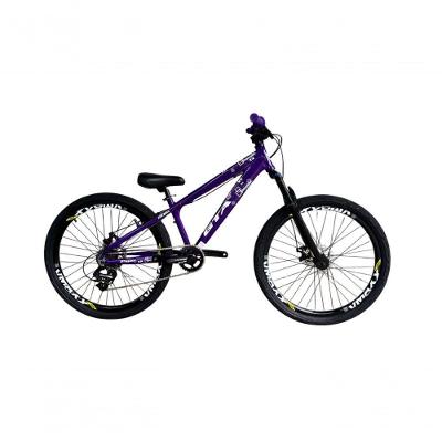 Bicicleta Aro 26 Gta Rebel Freeride Downhill Single 7v Rodas Vmaxx Freio A Disco Pneu Flame Preto Roxo