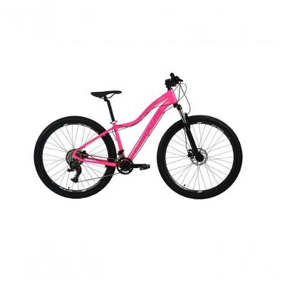 Bicicleta Aro 29 Absolute Hera Alumínio 2x9 Freios Hidráulicos K7 Garfo Com Trava 18v Mtb rosa Tam: 17