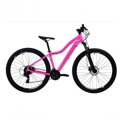 Bicicleta Aro 29 Absolute Hera Feminina 27v Freio A Disco Hidráulico K7 Garfo Com Trava rosa Tam: 17