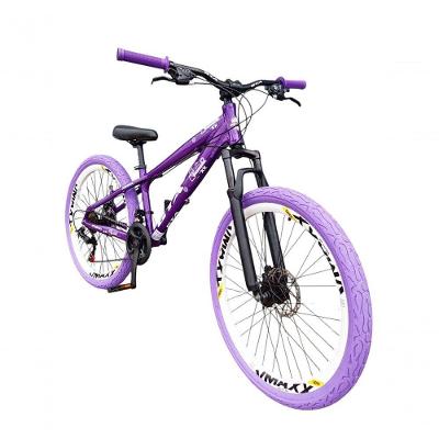 Bicicleta Aro 26 Gta Rebel Freeride Downhill 21v Rodas Vmaxx Dh Freio A Disco Pneu Flame Roxo - Aro Branco