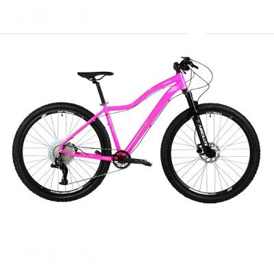 Bicicleta Aro 29 Absolute Hera 12v Freios A Disco Hidráulico Hollowtech K7 Garfo Trava No Guidão rosa Tam: 17