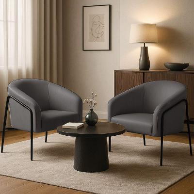 Poltrona Sala Decorativa Kit 2 Stella Base Alta Tubo Preto Sintético D03 - D'rossi Cor Grafite