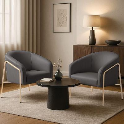 Poltrona Sala Decorativa Kit 2 Stella Base Alta Tubo Champanhe Sintético Grafite D03 - D'rossi