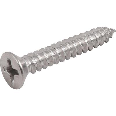 Parafuso Tarraxante Inox 3,9x25,0mm Phillips 10 Pçs Vonder