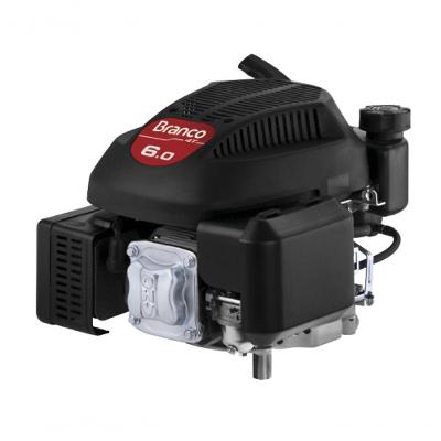 Motor Gasolina 4t 6,0cv Vertical B4t-6.0 Vg3 Branco