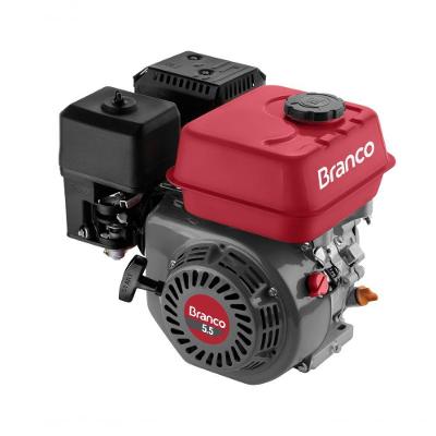 Motor Gasolina 5,5cv Eixo H Partida Manual B4t-5.5h Branco