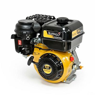Motor Bfg 9,0cv Partida Manual Rental Buffalo