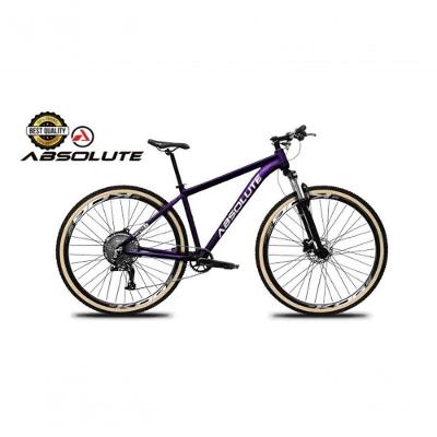 Bicicleta Aro 29 Nero 5 Peças Inteira Absolute 12v Hidráulica Hollowtech Garfo Trava No Guidão Roxo Tam: 15