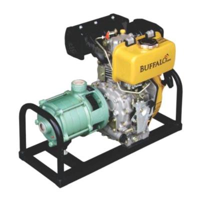 Motobomba Diesel 4 Estágios 1'' 5cv P Manual Buffalo 70519