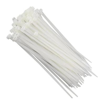 Abracadeira De Nylon Western 3,6 X 15cm Com 100 Unidades...