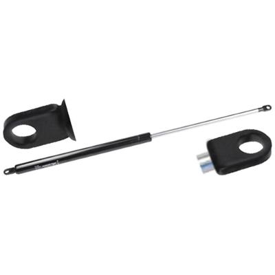 Amortecedor Tampa Traseira ônibus Caio [f103]