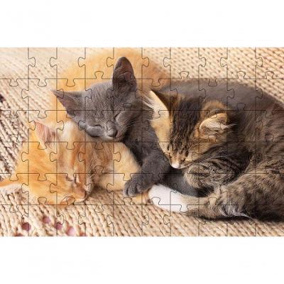 Kit 4 Quebra-cabeças De Gatos Fotos Inteligentes Diversão Inclusiva De 60 Peças