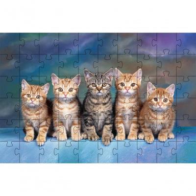 3 Quebra-cabeças De Belos Gatos E Filhotes De 40 Peças