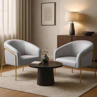 Poltrona Sala Decorativa Kit 2 Stella Base Alta Tubo Dourado Sintético D03 - D'rossi Cor Cinza