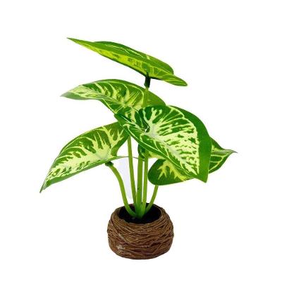 Vaso Decorativo De Cimento 14cm Com Planta - Tudo Em Caixa
