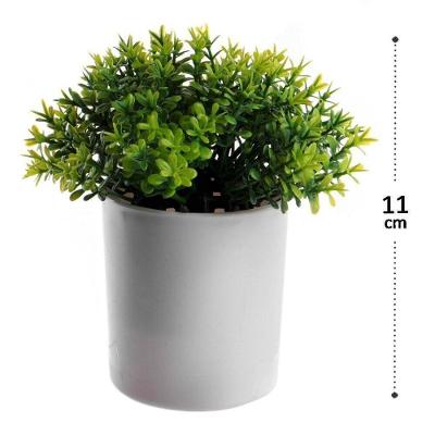 Vaso Decorativo De Plástico 11cm Com Planta Color - Tudo Em Caixa