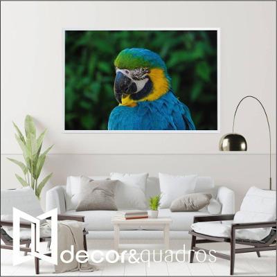 Quadro Arara 120x80 Cm Adesivo Fotográfico