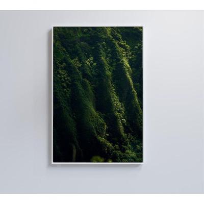 Quadro Floresta 40x60 Cm Vidro Impresso