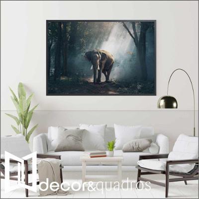 Quadro Elefante 60x40 Cm Vidro Impresso
