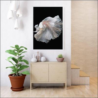 Quadro Peixe Beta Branco 40x60 Cm Adesivo Fotográfico