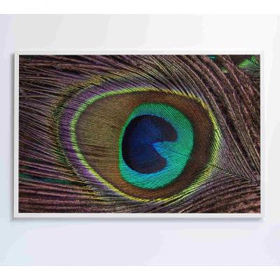 Quadro Penas De Pavão 120x80 Cm Vidro Impresso