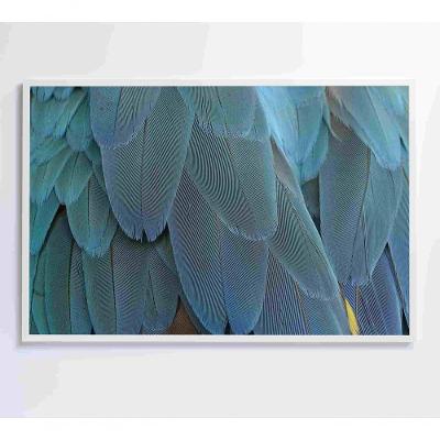 Quadro Penas Azuis 90x60 Cm Tecido Canvas