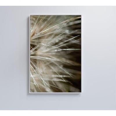 Quadro Dente De Leão Detalhe 60x90 Cm Adesivo Fotográfico