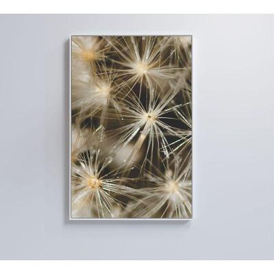 Quadro Dente De Leão 40x60 Cm Vidro Impresso