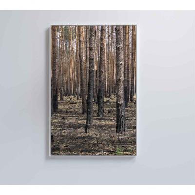 Quadro Eucaliptos 40x60 Cm Vidro Impresso