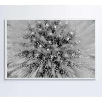 Quadro Dente De Leão Zoom 60x40 Cm Tecido Canvas