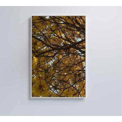 Quadro Flores Ipê Amarelo 40x60 Cm Adesivo Fotográfico