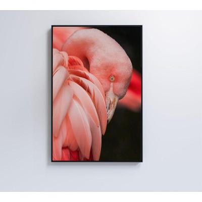 Quadro Flamingo 40x60 Cm Vidro Impresso