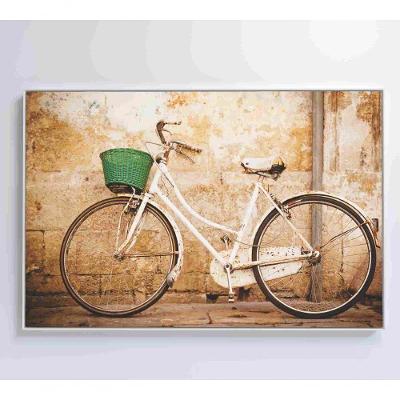 Quadro Bicicleta Clássica 120x80 Cm Adesivo Fotográfico