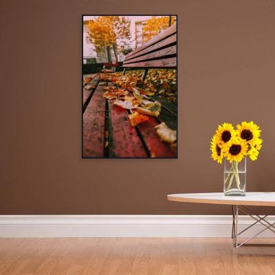 Quadro Branco Praça Outono 90x60 Cm Adesivo Fotográfico