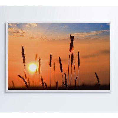 Quadro Por Do Sol 120x80 Cm Vidro Impresso