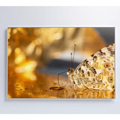 Quadro Borboleta Dourada 120x80 Cm Tecido Canvas