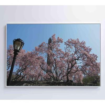 Quadro árvore Cerejeira 2 60x40 Cm Adesivo Fotográfico