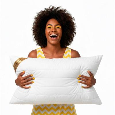 Travesseiro Basic Premium - Latex Em Flocos Capa Hipoalergenica Perfil Extra 45x85x18cm