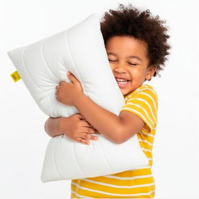 Travesseiro Basic Premium - Latex Flocos Capa Hipoalergênica Perfil Kids 30x40x08cm