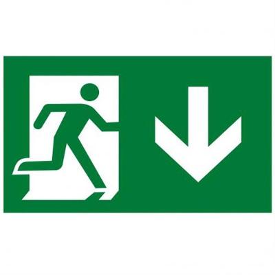 Placa de Pvc Fotoluminescente Autoadesiva 15x30 Seta Reta Para Baixo 315 Ao Sinalize Placa Pvc