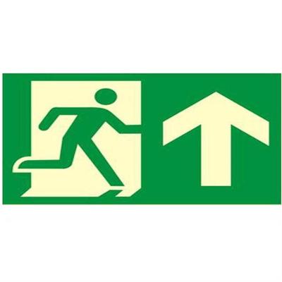 Placa de Pvc Fotoluminescente Autoadesiva 15x30 Seta Para Cima 315 Ac Sinalize Placa Pvc Fotol.