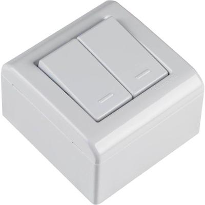 Caixa de Sobrepor com 2 Interruptores Simples de 10 Ampères E 250 Volts Lizflex Branca 57304011