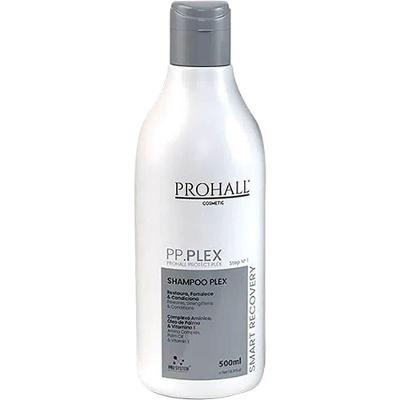 Prohall Pp.plex - Shampoo Proteção Para Descoloração 500ml