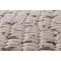 Cama Box Solteiro: Colchão Espuma Herval Ag65 Fort + Base Crc Suede Clean(88X188) - 5